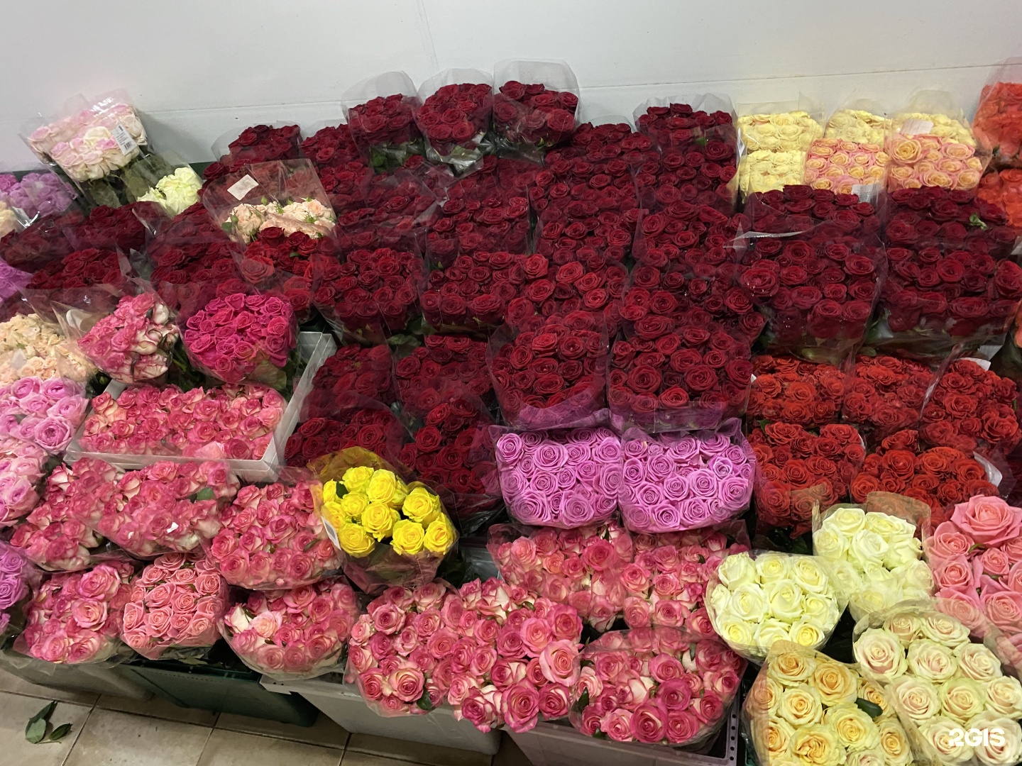 Где Купить Розы По Оптовым Ценам