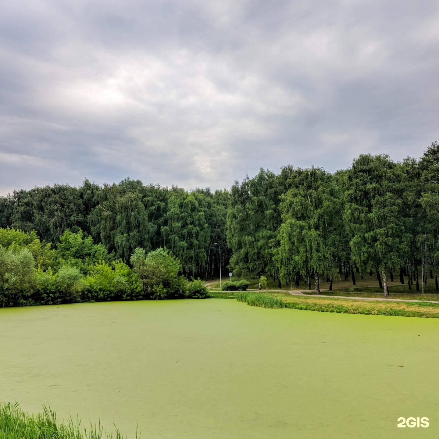 пролетарский парк саранск