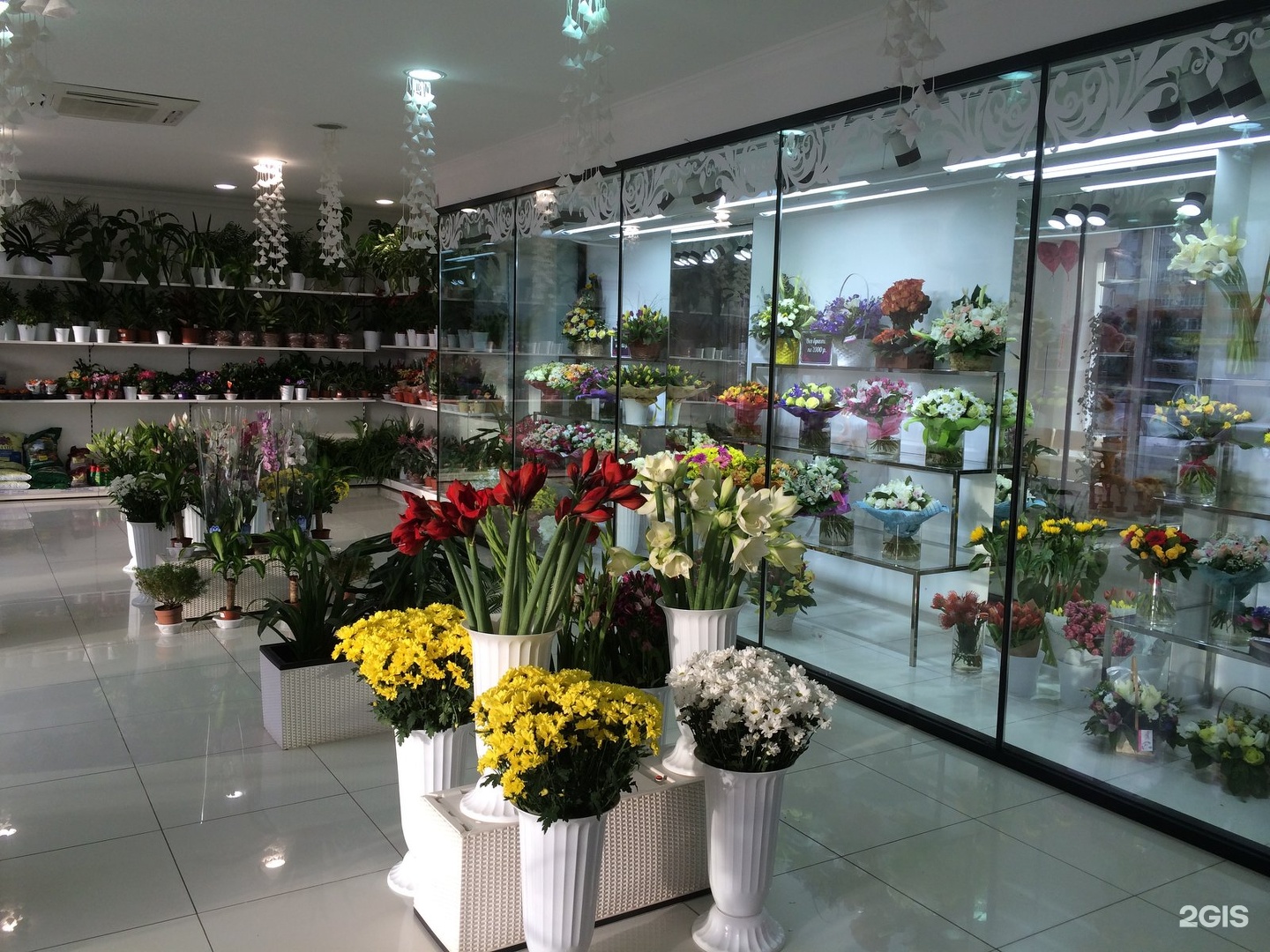 Белладжио салон цветов Тюмень