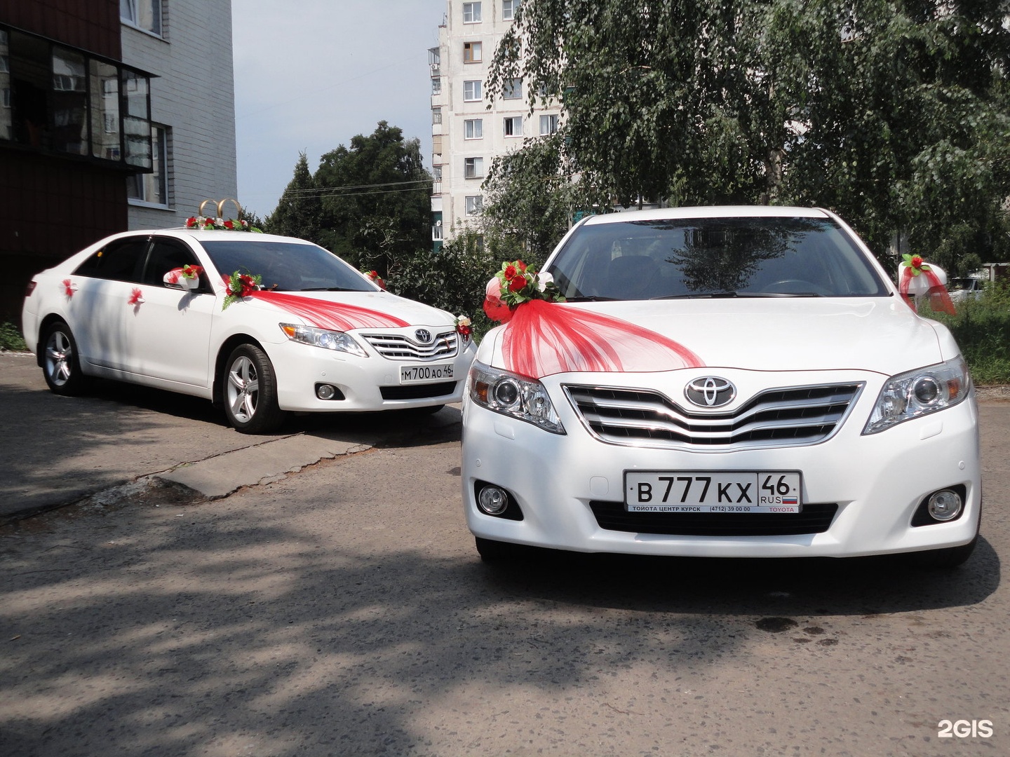 Аренда авто на свадьбу курск Аренда авто на свадьбу курск