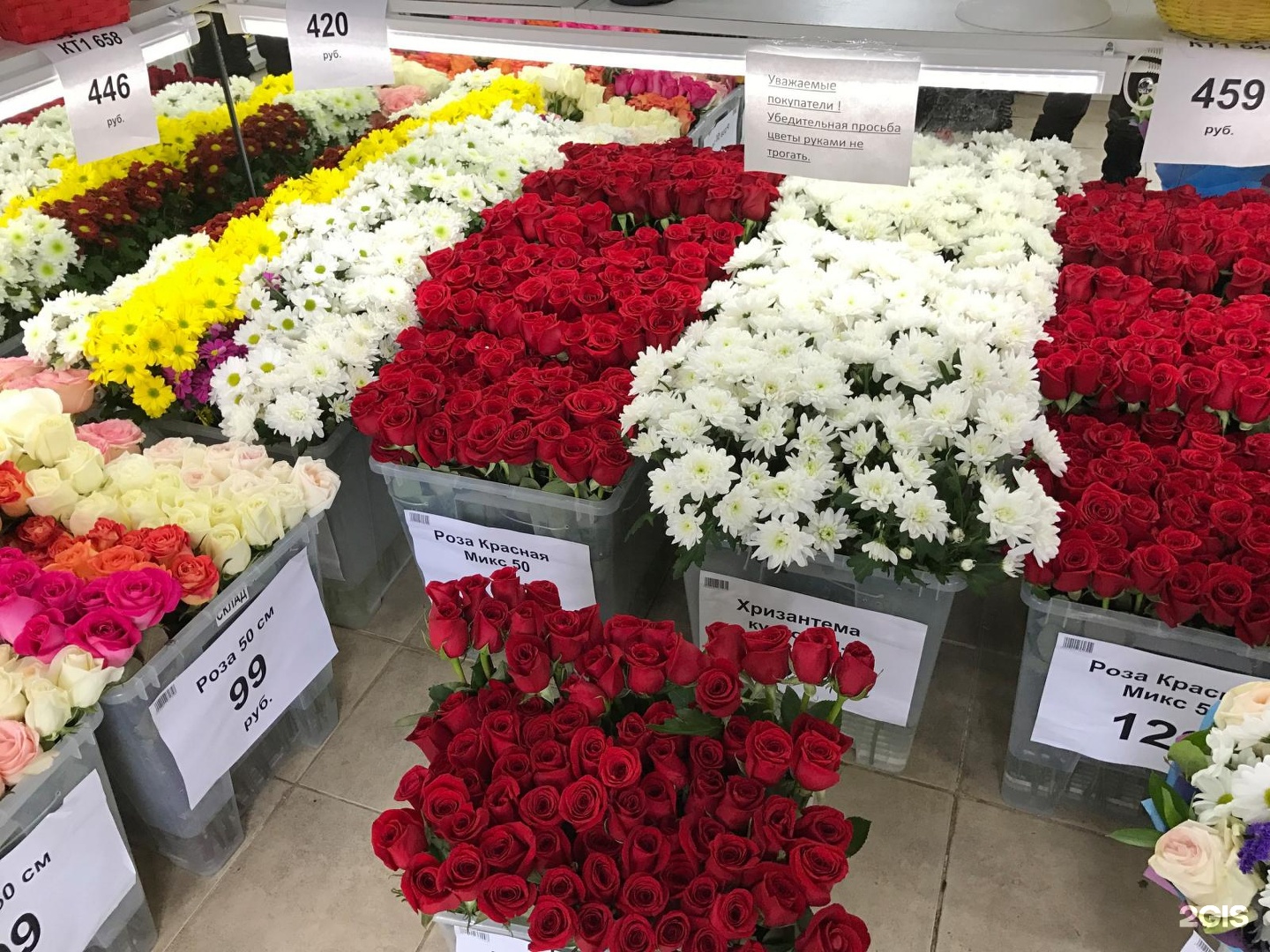 Розы в цветочном магазине