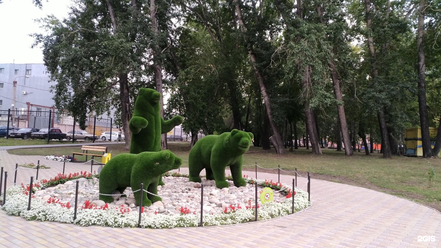Медведи в Челябинске