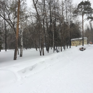 Фото от владельца Центральный парк культуры и отдыха