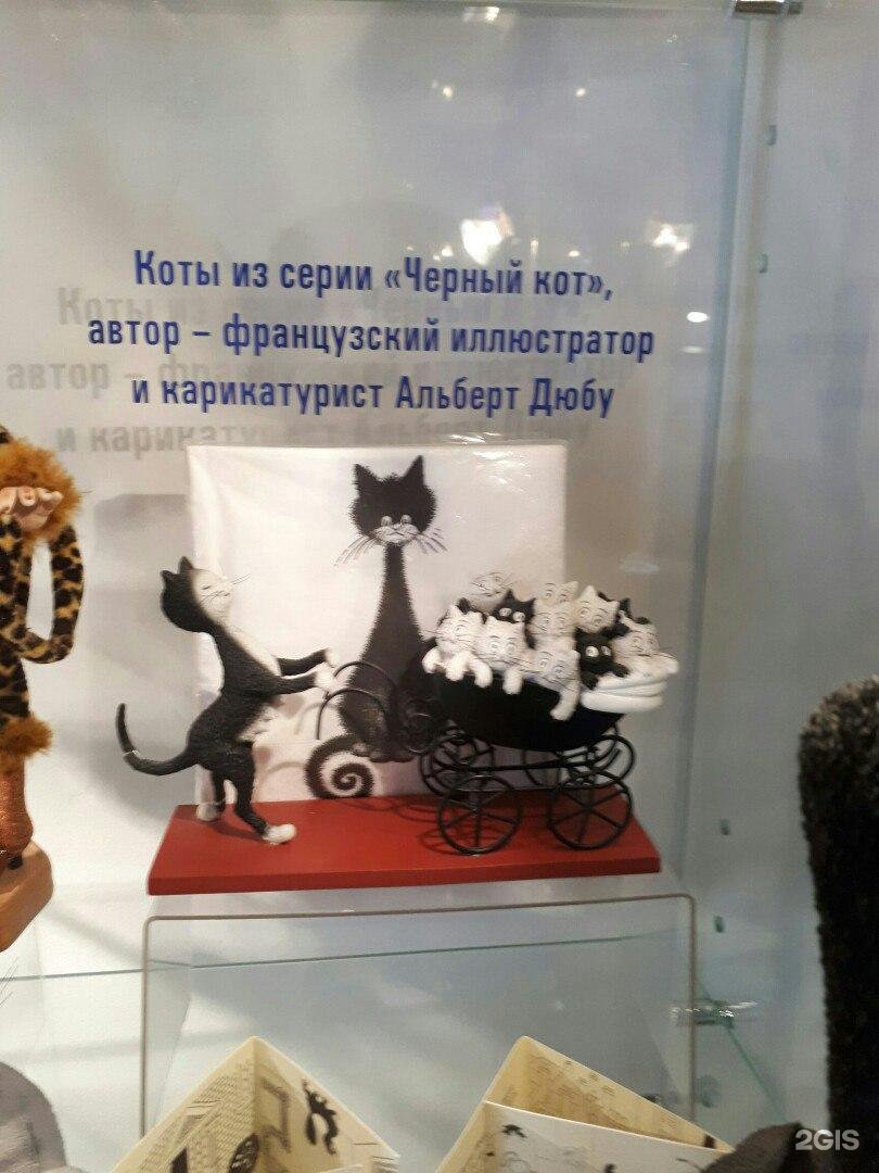 Музей кошек мурариум саратовская ул 2а зеленоградск. Мурариум. Зеленоградск кошки.