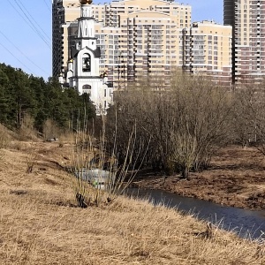 Фото от владельца Собор Преображения Господня