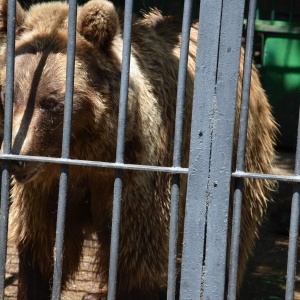 Фото от владельца Карагандинский государственный зоопарк