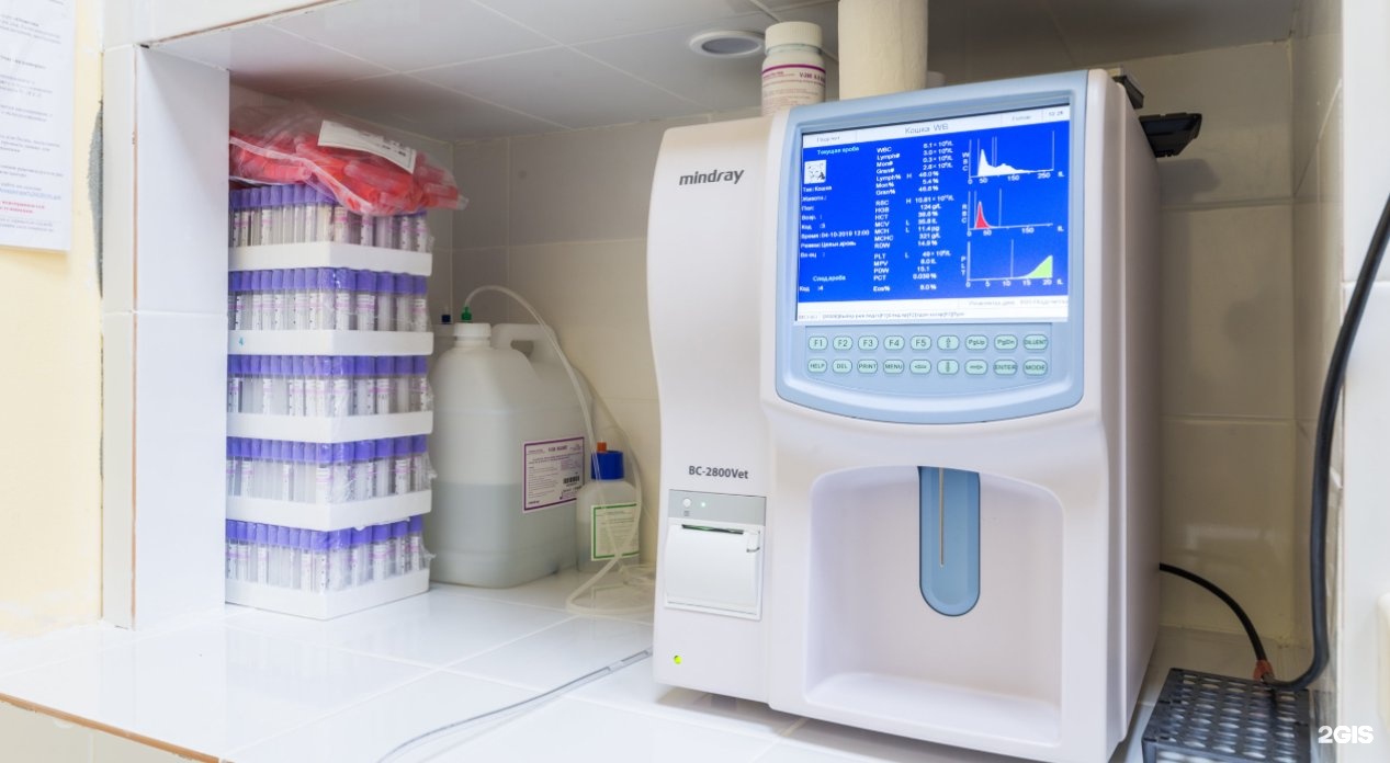 ветклиника горки 10. ветклиника горки 10. ветклиника горки 10 одинцовского района. ветклиника командор горки-2. алтуфьевское шоссе 28 алкоклиник.