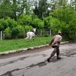 Фото от владельца Каприоль, конно-любительский клуб