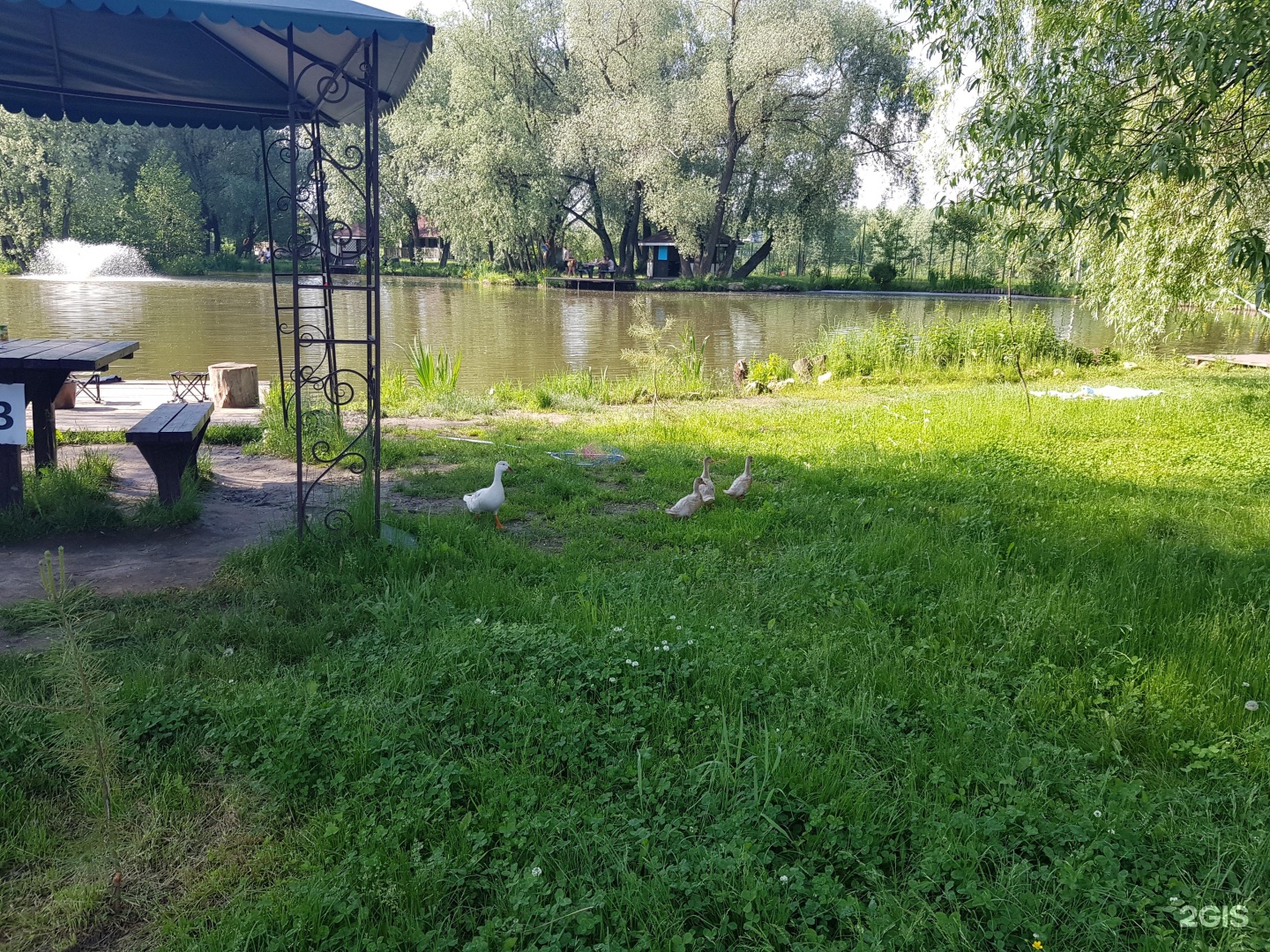 Рыбалка остров отзывы. Рыболовная усадьба остров. Рыбацкий остров нови сад. Усадьба рыболовная остров Видное.