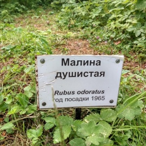 Фото от владельца Дендрарий, Волжско-Камский природный государственный биосферный заповедник