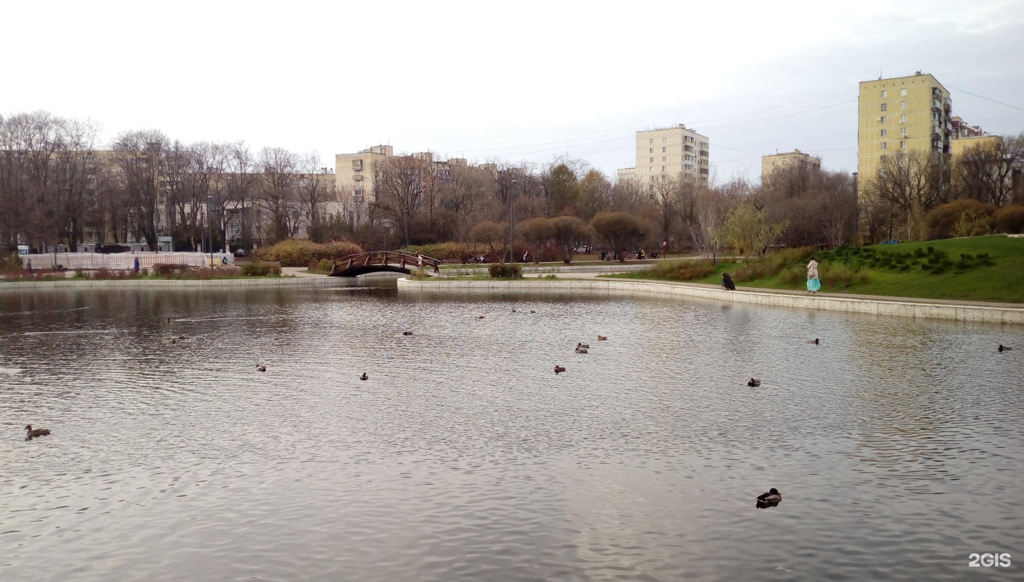 Парк дубки бассейн. Парк Дубки Оренбург. Дубки 13 Москва. Парк Дубки Озеры фото. Бассейн в парке Дубки САО фото.