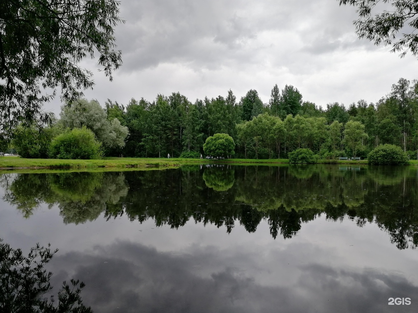 Green park санкт петербург. Сосновка (городской округ озёры). Алексеевский парк Санкт-Петербург. Витебский парк СПБ. Курортный лесопарк СПБ.