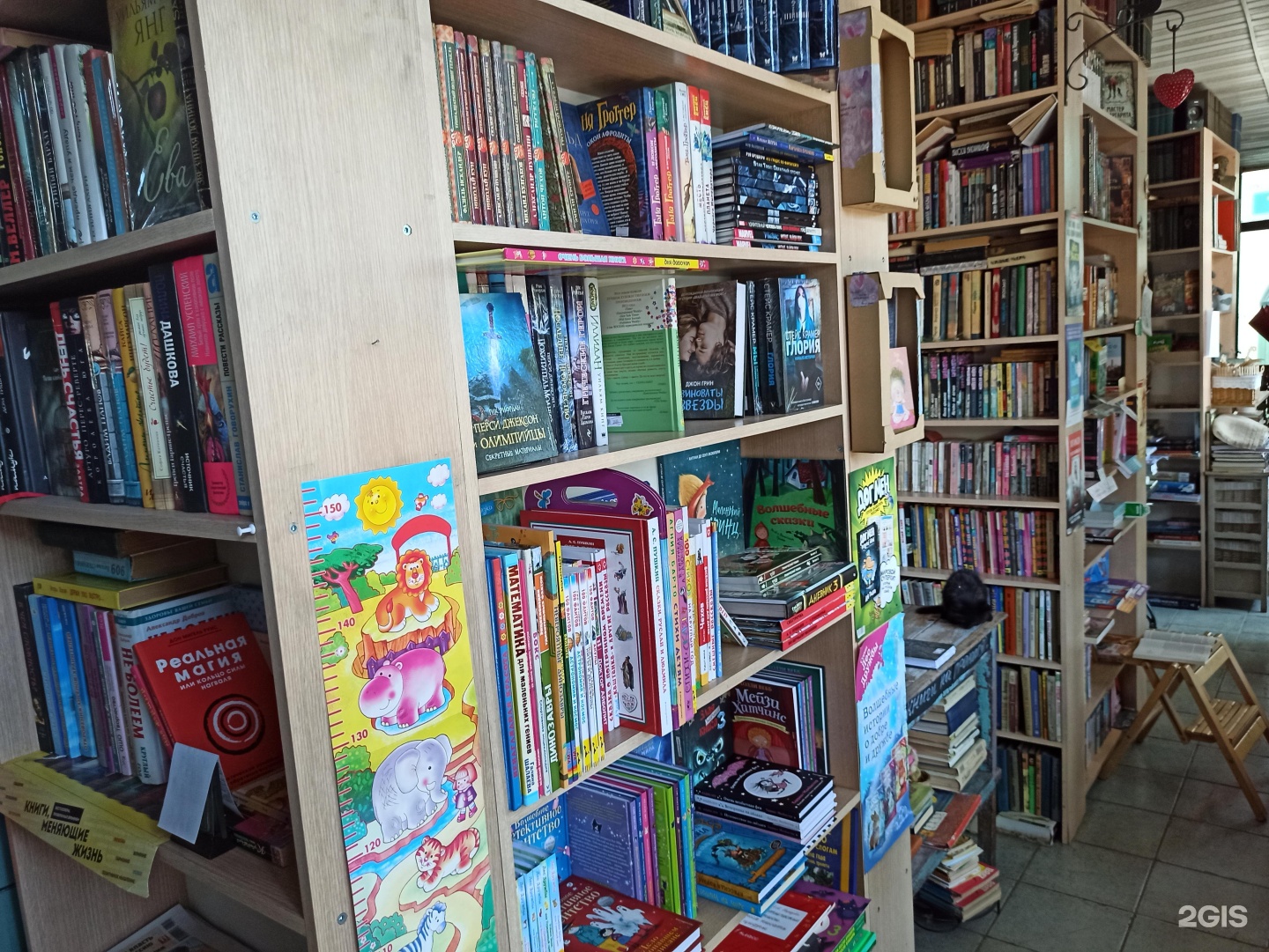 Книжный магазин в алматы. Книжный город паджу. Книжный город. Книжный магазин алматы. Магазин букинист челябинск.