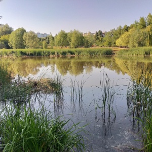 Фото от владельца Воронежские озера, парк