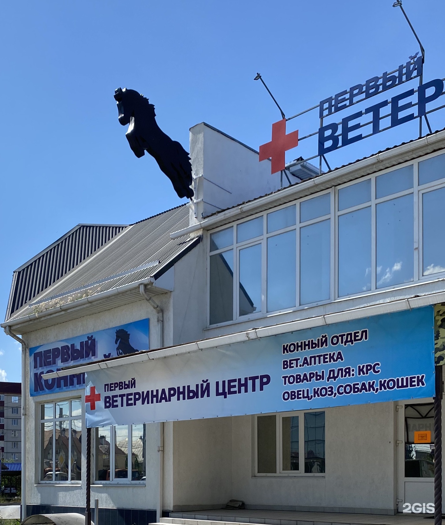 Ркц черкесск. Ветеринарный центр. Первый ветеринарный центр. Ветклиника Таврово. Черкесск улица Октябрьская 392.