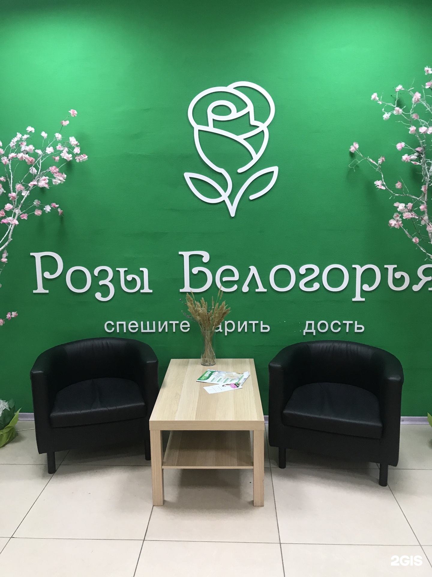 Купить Цветы В Белгороде Недорого Розы Белогорья