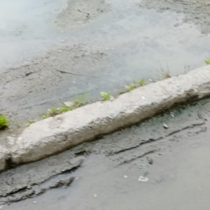 Фото от владельца Управление городским хозяйством, МБУ, баня