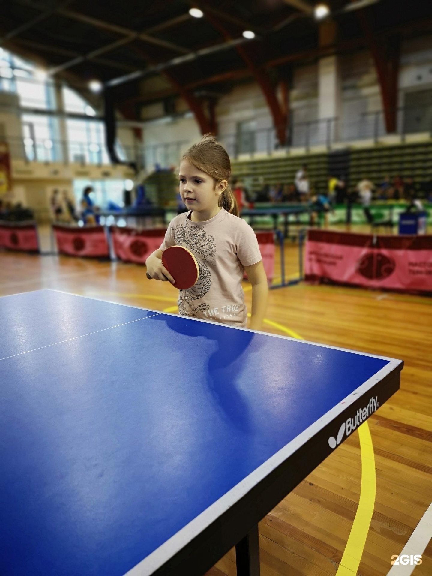 Спортивные лагеря теннис. Настольный теннис в лагере. Теннисные лагеря для детей 2024.