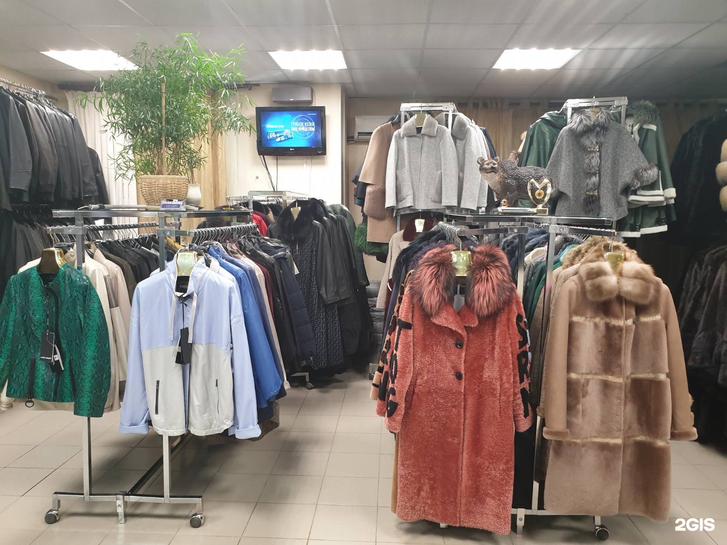 Магазин Дикой Одежды