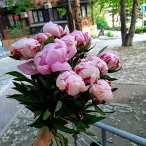 Фото от владельца Арбат, цветочный салон