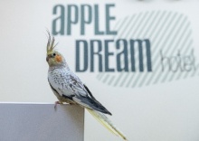 Москва: Отель Apple Dream