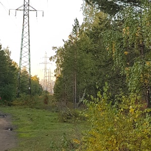 Фото от владельца Центральный парк культуры и отдыха им. Ю.А. Гагарина