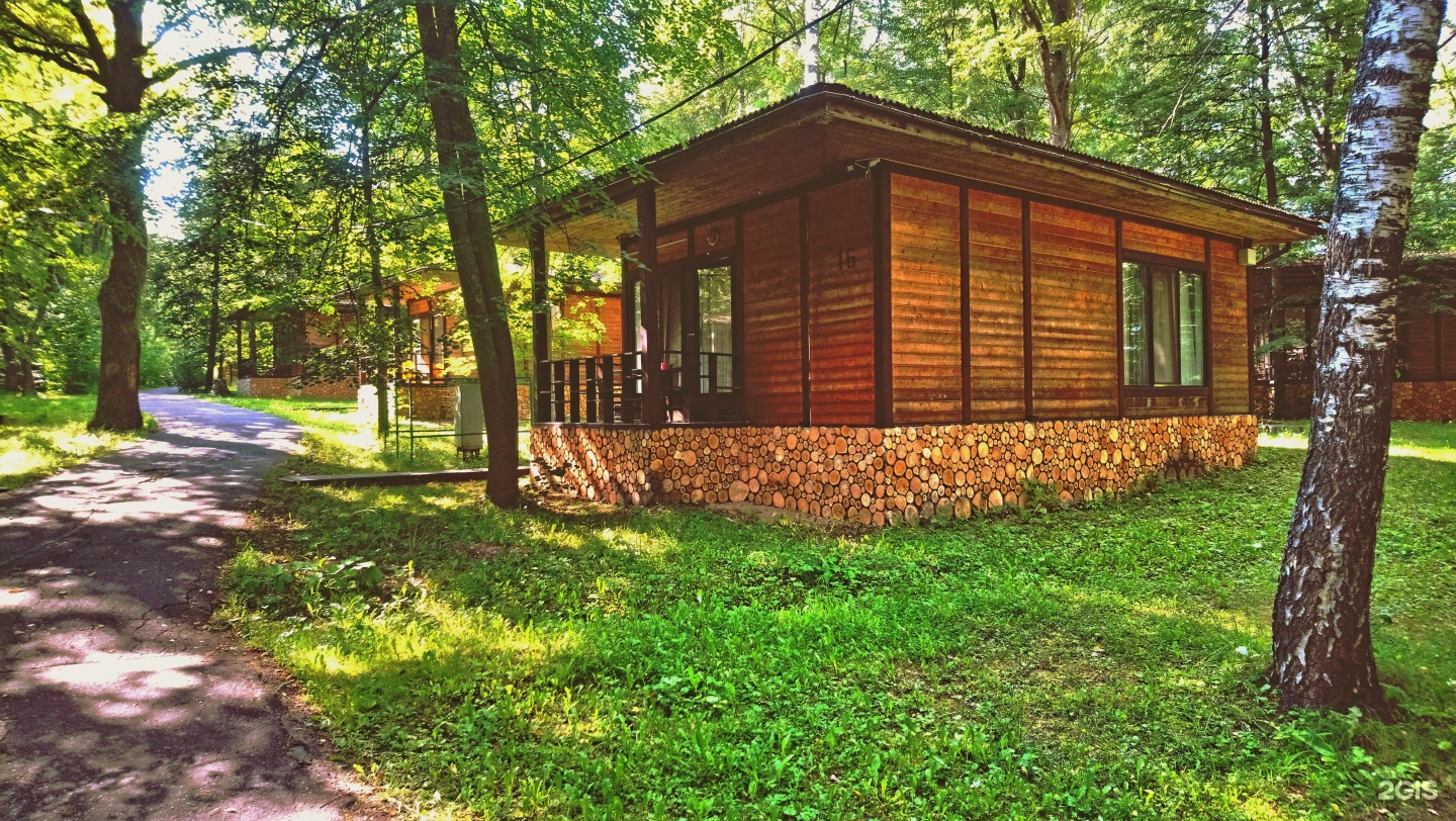 Фореста парк отель отзывы. Фореста парк отель. Отель Фореста в Подмосковье. Forest Park турбаза.