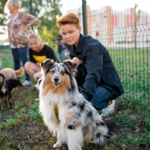 Фото от владельца Лидер, кинологическое объединение