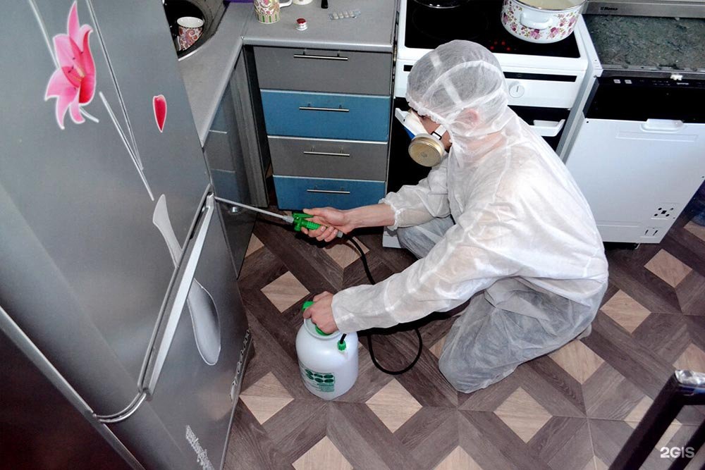 обработка от клопов. пройти дезинфекцию. профессиональная дезинфекция. дезинфекция помещений. дезинсекция от тараканов.