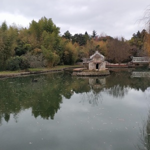 Фото от владельца Южные культуры, парк