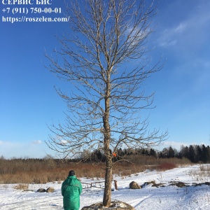 Фото от владельца Сервис БиС, ООО, торгово-сервисная компания