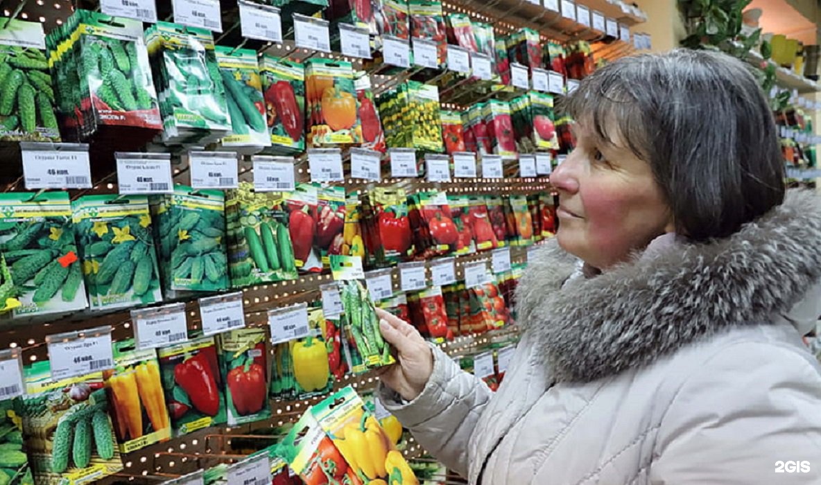 Можно Купить Семена