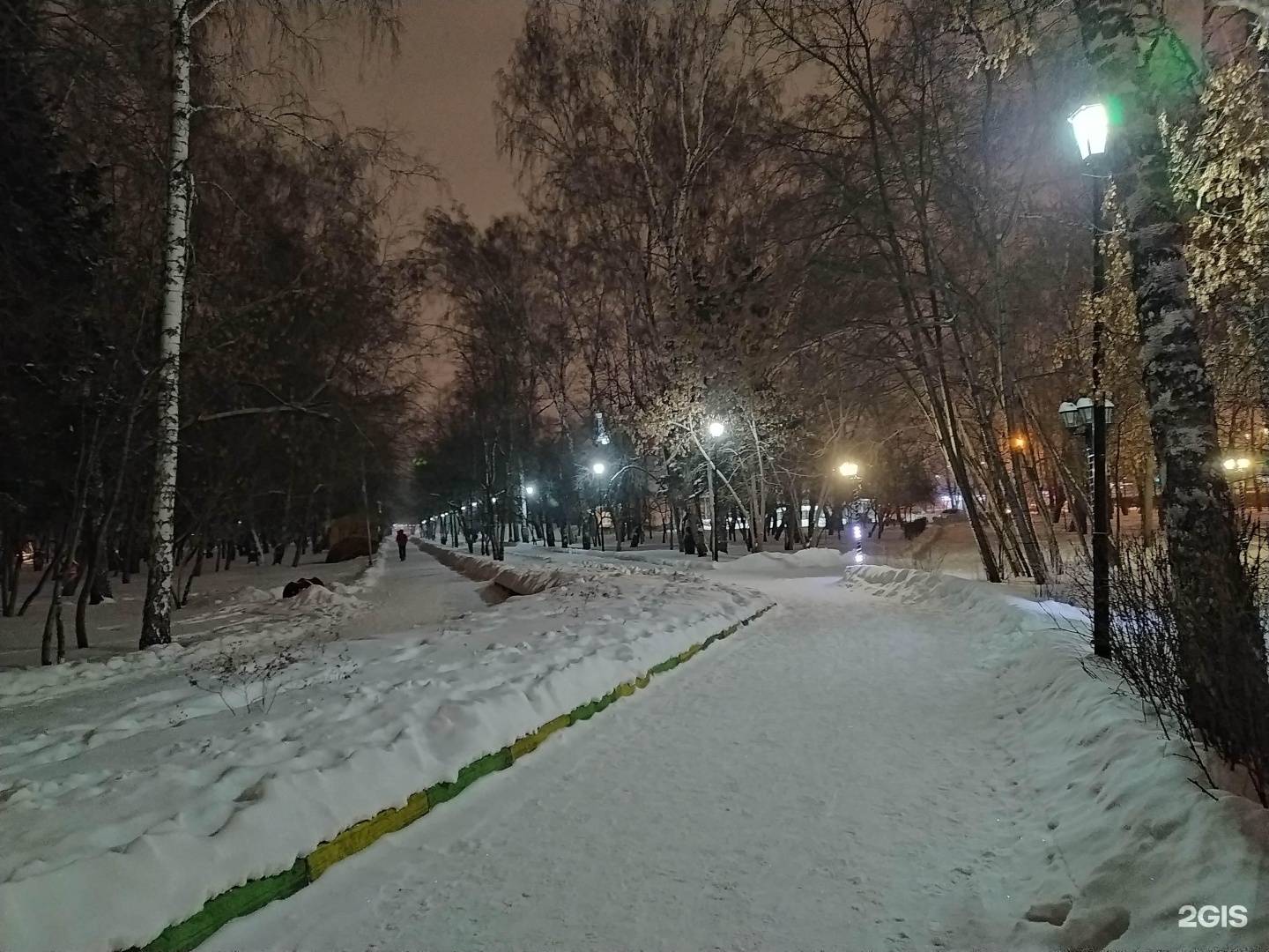 Новосибирск пасс. Берёзовая роща парк Новосибирск. Парк роща Обухово. МУП ПКИО Березовая роща Планетная ул., 53, Новосибирск фото. Парк Терешковой зимой в темноте.