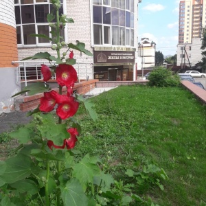 Фото от владельца Алтайский кредитный центр, КПК