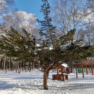 Фото от владельца Городской парк культуры и отдыха им. Ю.А. Гагарина