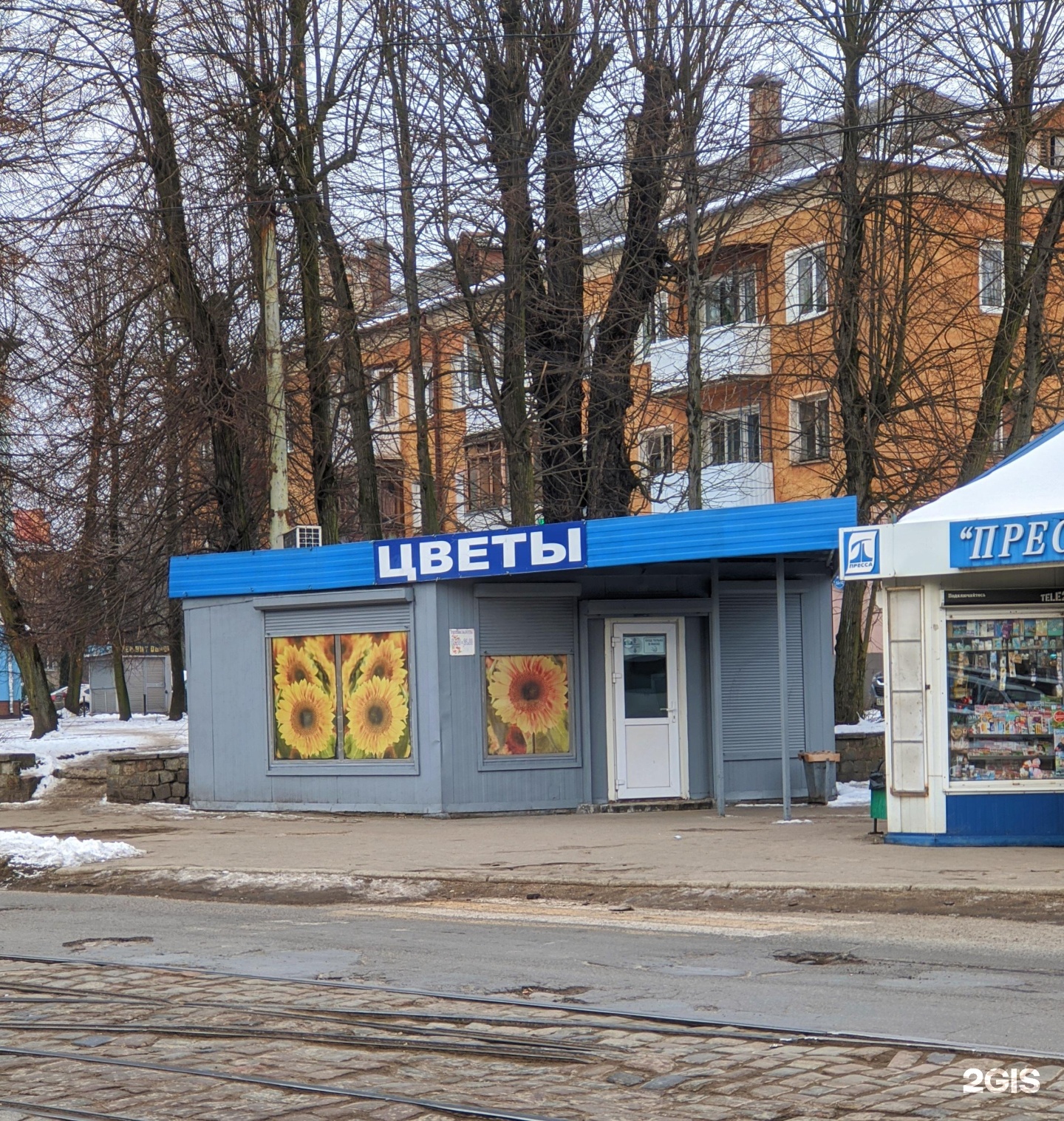 Московский 50 калининград. Киевская 50 Калининград. Киевская 50 Калининград помещение ,,40.