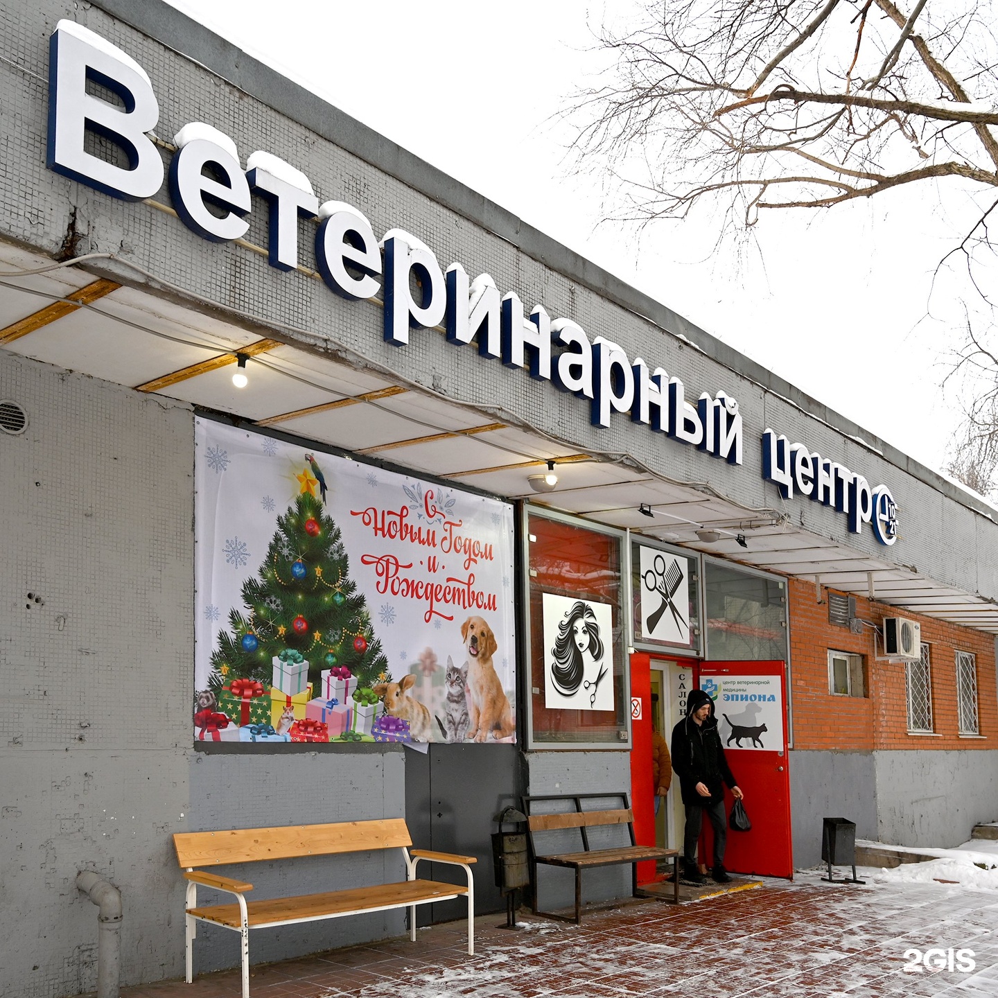 эпиона. эпиона медикус старый. эпиона медикус. эпиона. эпиона.