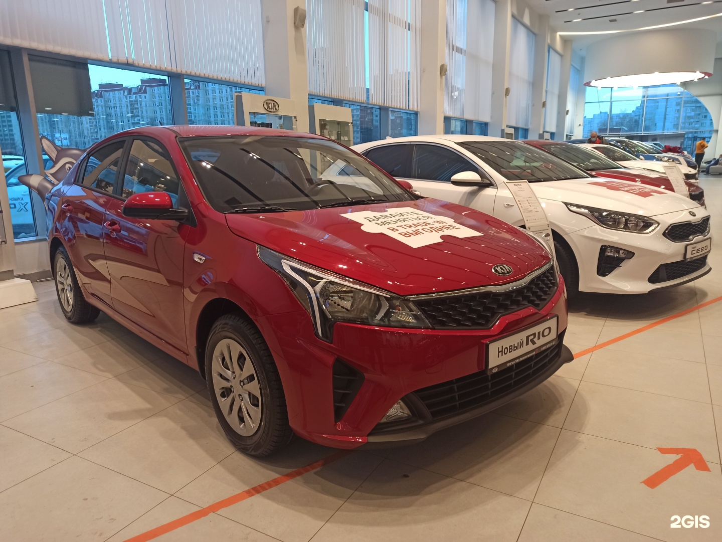 Прагматика Kia Василеостровский