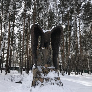 Фото от владельца Солнечный, детский оздоровительный лагерь