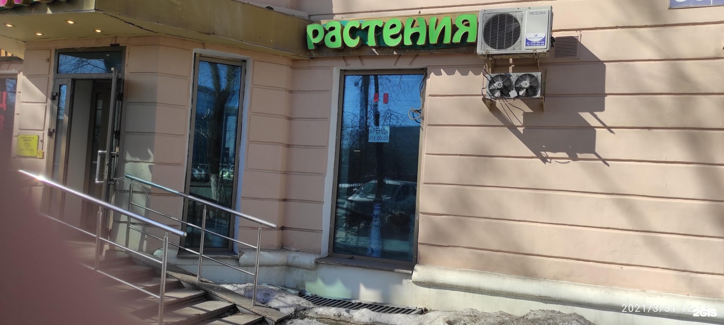 Машиностроитель цветы.