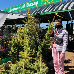 Фото от владельца Петровский, рынок