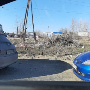 Фото от владельца Городской экологический центр, ООО