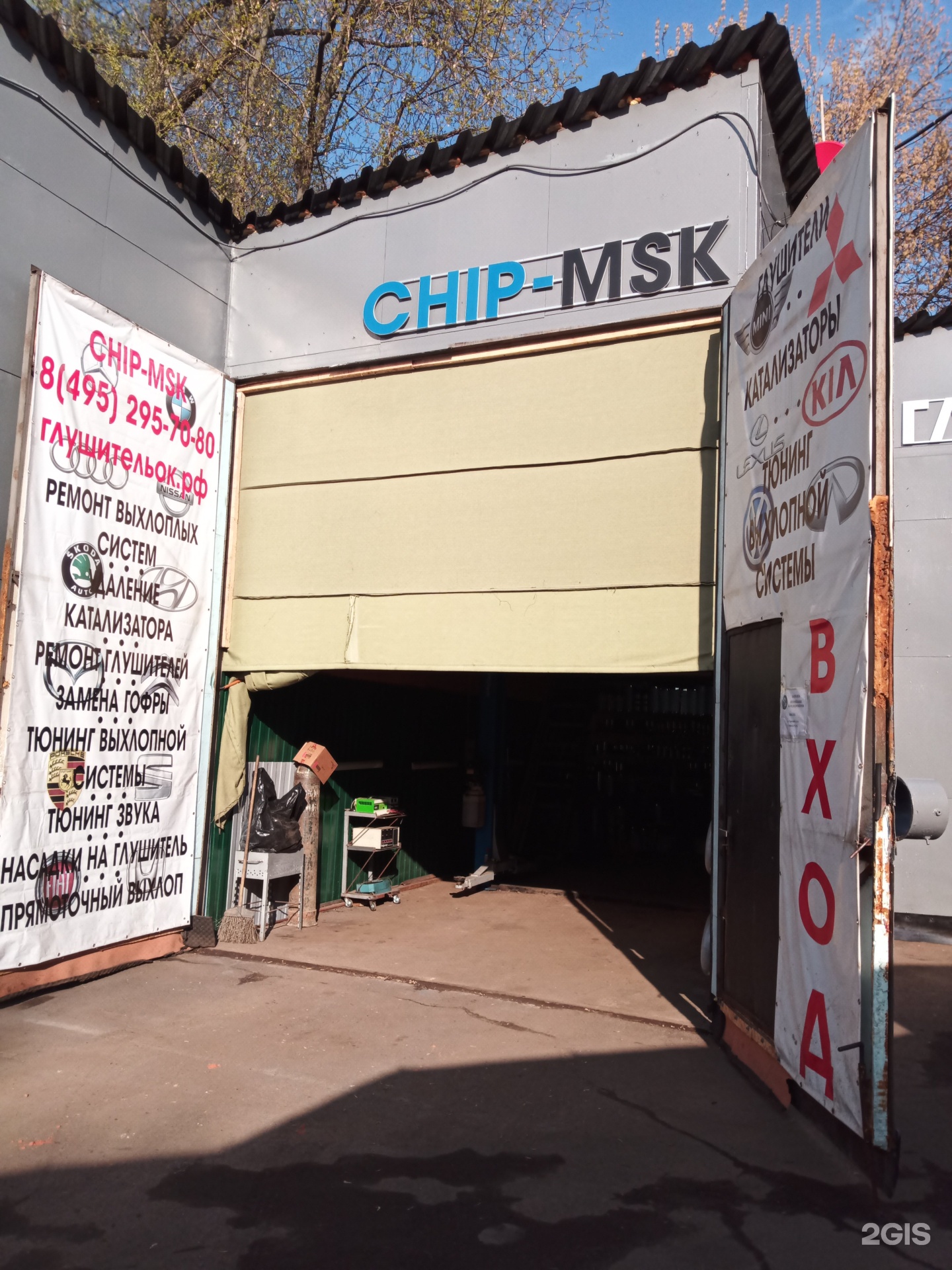 Chip msk