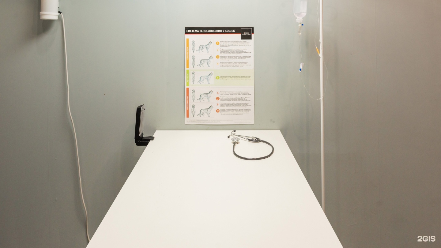 сдэк пушкино просвещения 12к2. ветклиника дубрава казань. пушкино просвещение 12 к 2. ветклиника на просвещения. сдэк пушкино просвещения 12к2.