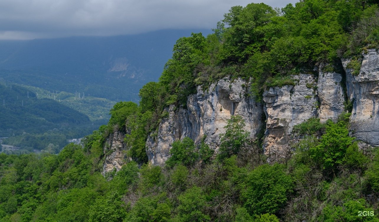 Светлана парк сочи фото