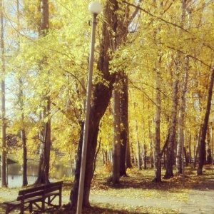 Фото от владельца Алые паруса, загородный комплекс