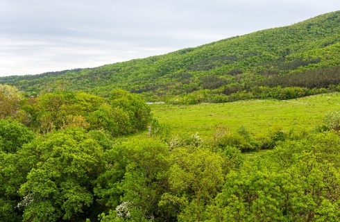 с. Кабардинка: Гостевой дом Отрада