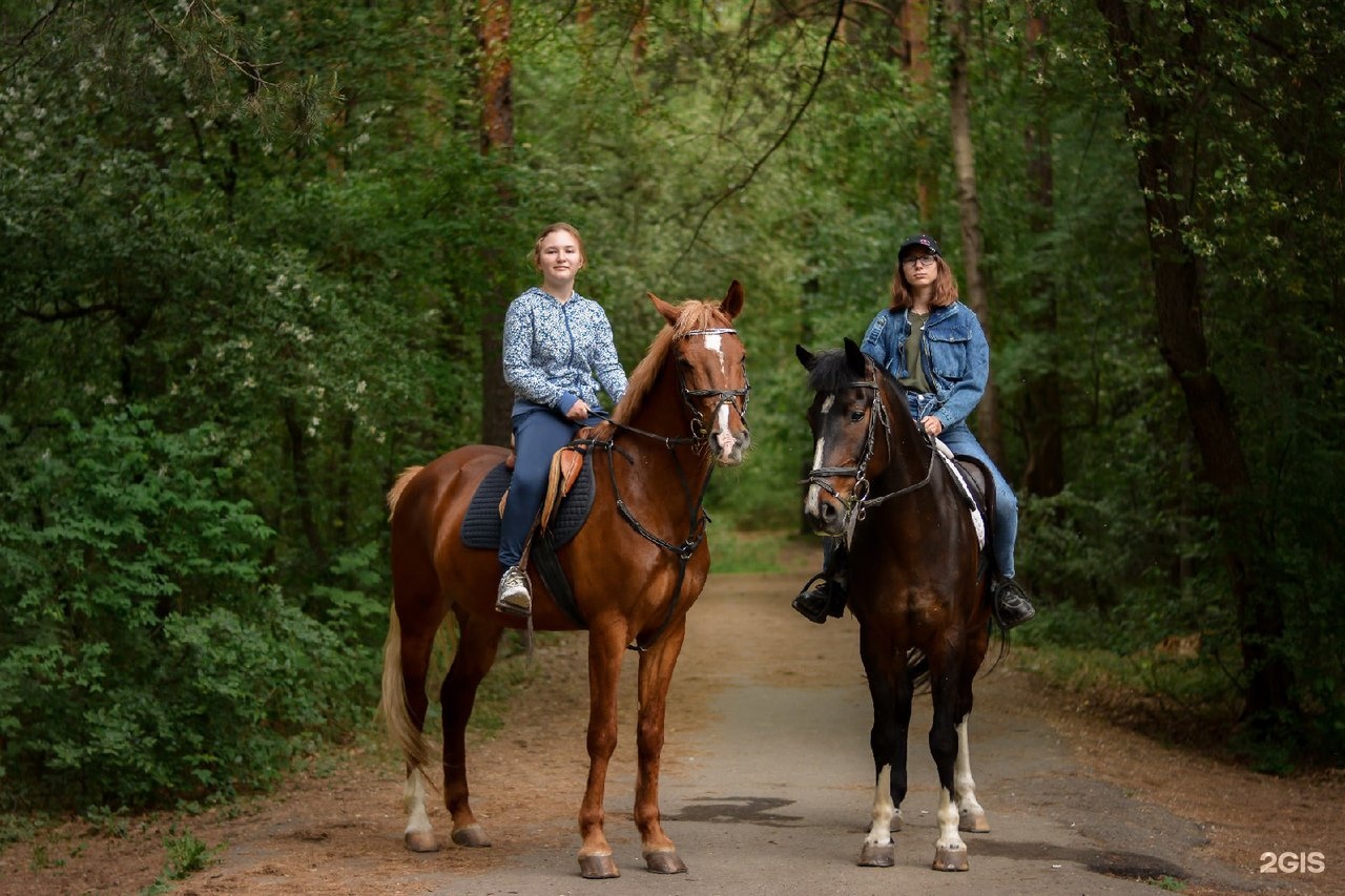 Horse екатеринбург. Конюшня Адмирал Екатеринбург. Ползунова 56 Екатеринбург конный клуб. Конный клуб Адмирал Екатеринбург. Катание на лошадях Екатеринбург.