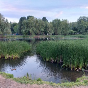 Фото от владельца Воронежские озера, парк