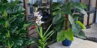 Усть-Каменогорск: Отель Делюкс